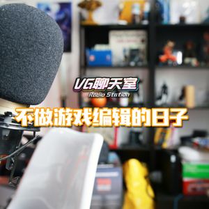 不做游戏编辑的日子【VG聊天室491】