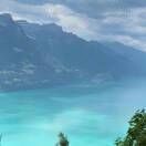 暴躁蕾蕾碎碎念