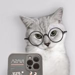 凯奇CAT