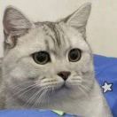 达布牛皮这一下很开心