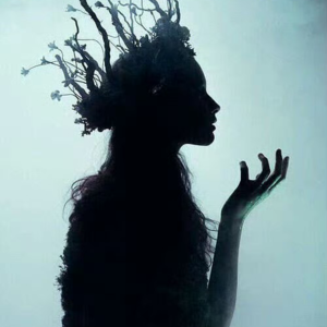 Jay Bhattacharya：激进改革NIH，为何反遭体制反噬？