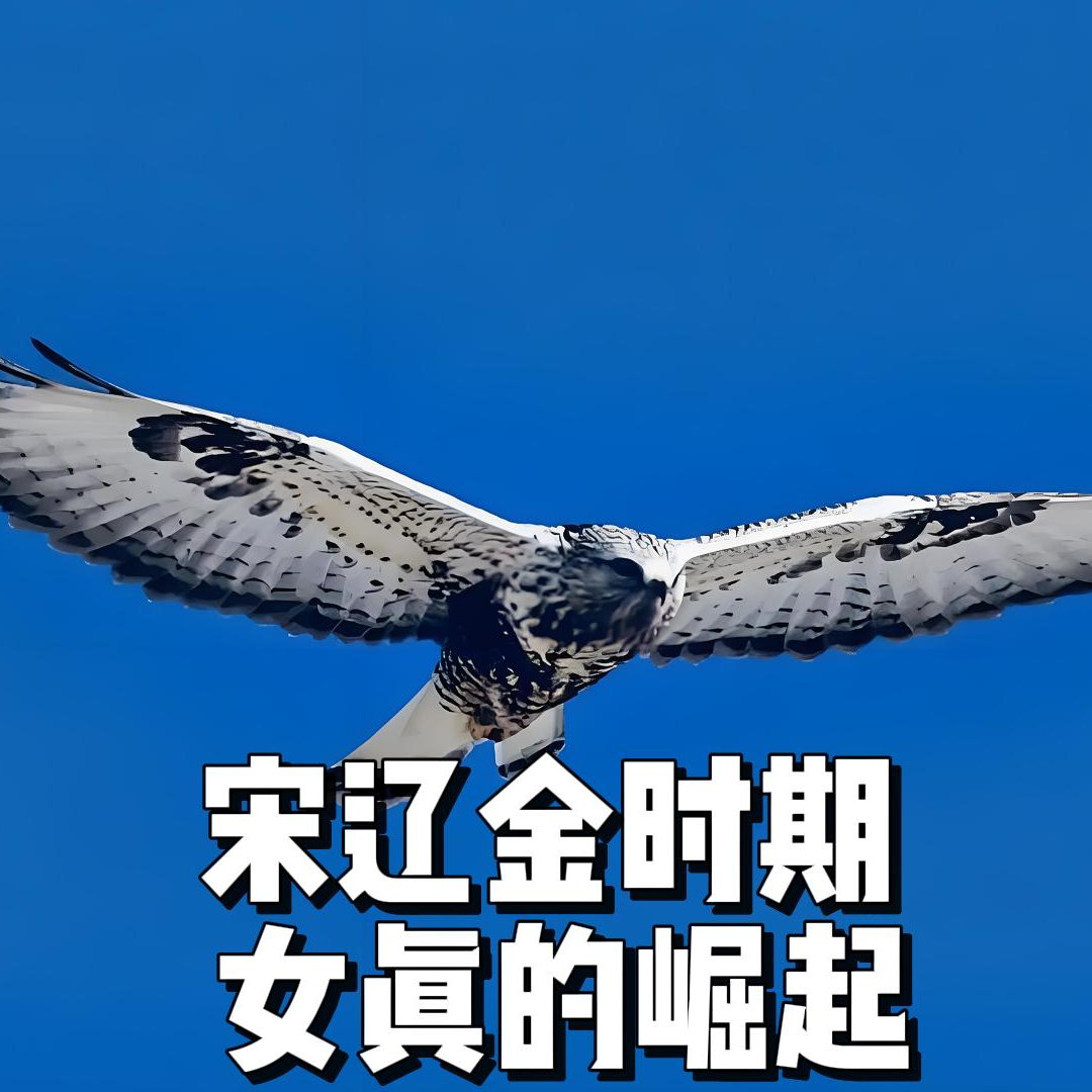 98.宋辽金时期—女真的崛起 episode artwork