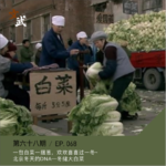 EP068 一包白菜一捆葱，欢欢喜喜过一冬~冬储大白菜，旧时北京冬日的启动预告~
