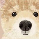 噔噔噔噔噔噔噔噔