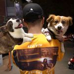 哧溜哧溜棒棒糖