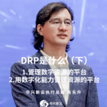 陈东升：DRP是什么？（下）