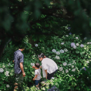 vol.15 产后持续8年腰部疼痛的案例拆解2024-5-28