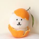幸运小橘