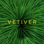 VETIVER21