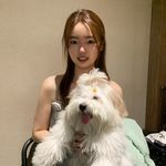 张可人