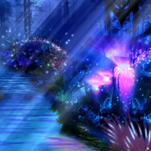 Vol55 九周年教学思考｜什么是内环境