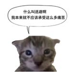 四季春龙须面
