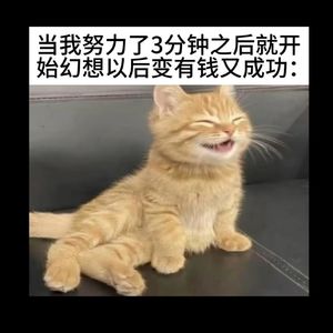 074.我不努力了，就能幸福吗？