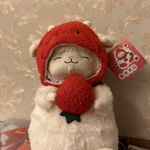 小羊今天听什么
