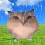 外星人你把我忘在地球了