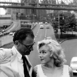 其实，我们都是金发梦露/79届威尼斯电影节主竞赛电影《金发梦露》