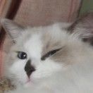 绝缘体要通电啦