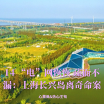 14 “电”网恢恢 疏而不漏 ：上海长兴岛离奇命案