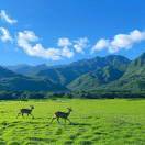 子琰母乳喂养指导