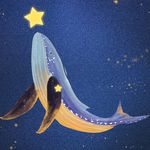 水星柔泽
