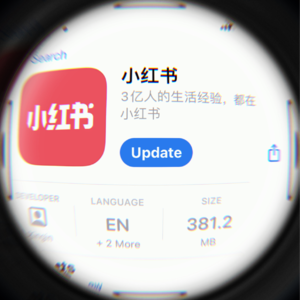 43 小红书折叠|生活指南背后的平行宇宙人生