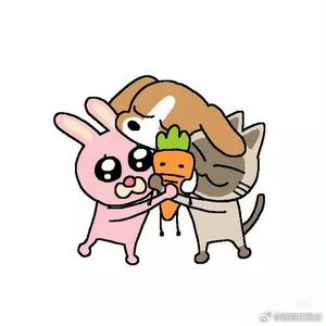 柯柯一天八顿