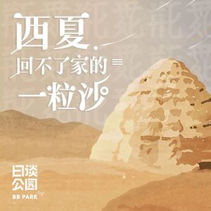 西夏，回不了家的一粒沙