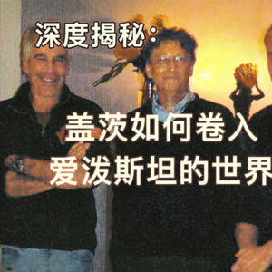 磕药？性病？深度揭秘爱泼斯坦文件里的比尔盖茨 EP22