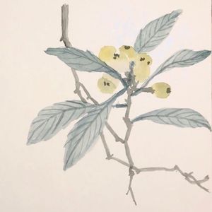 podcaster-avatar