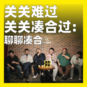 176.关关难过关关凑合过：聊聊凑合