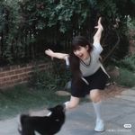 金饼饼
