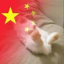 浩越努力越幸运