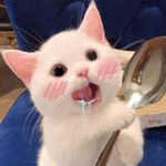 孤身何必远方