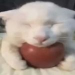 maookenna