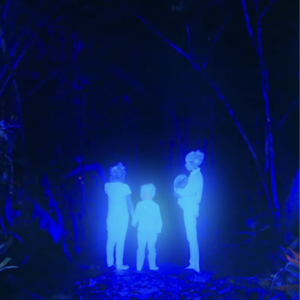 02丛林中的日与夜——空难生还记