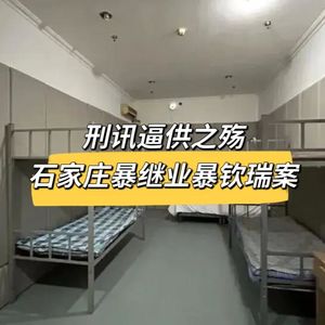 38. 刑讯逼供之殇-石家庄暴继业暴钦瑞案