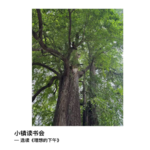 选读《理想的下午》