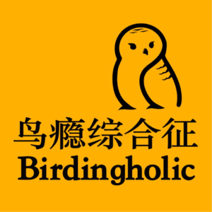 第四十三期：被杜鹃“看上”，你就完了！