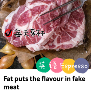 【32】脂肪细胞提升人造肉口感