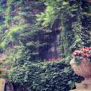 上山玩沙的罗侍卫