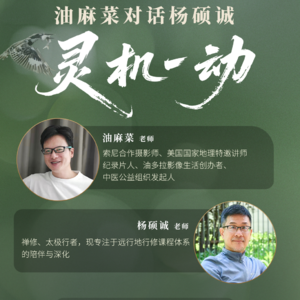 Vol.9 油麻菜对话杨硕诚：灵机一动