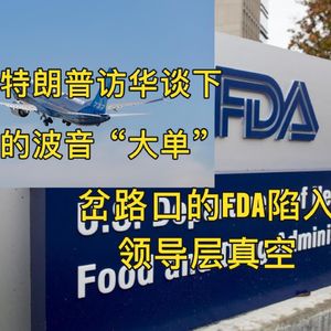 FDA陷入领导层真空｜特朗普访华谈下的“大单”真的大吗？EP.34