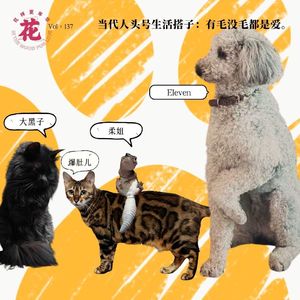 Vol：137 当代人头号生活搭子：有毛没毛都是爱