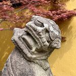 少年游游