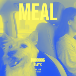 vol.119：几首用来下饭的音乐