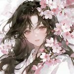 看见请叫我去学习呀