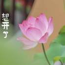 耶律熊观山海