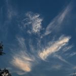 一口十个鸡丝卷