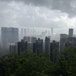 成熟较晚的中年人