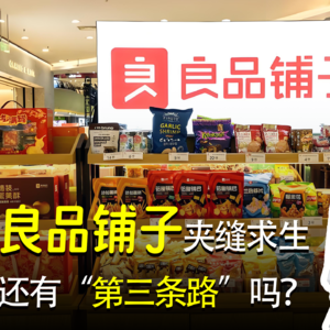 良品铺子夹缝求生，还有“第三条路”吗？